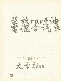 荣放rav4油电混合汽车