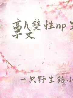 高h双性np生子文