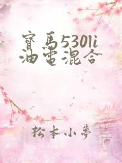 宝马530li油电混合