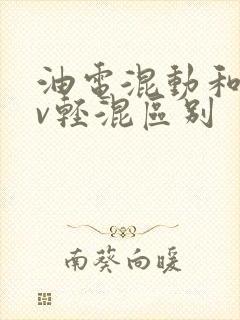 油电混动和48v轻混区别