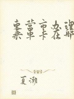 东营市办理老年乘车卡在哪里办理
