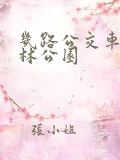 几路公交车到森林公园