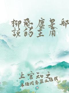 柳飞尘是哪部小说的主角