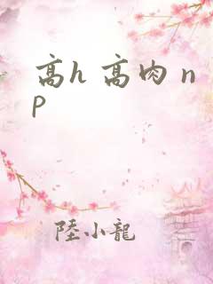 高h 高肉 np