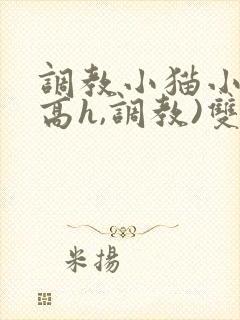 调教小猫小说(高h,调教)双性