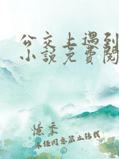 公交上遇到张姨小说免费阅读