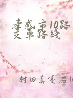 孝感市10路公交车路线 孝感市10路公交车路线