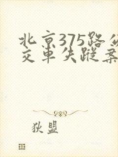 北京375路公交车失踪案 北京375路公交车失踪案