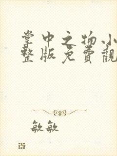 掌中之物小说完整版免费观看
