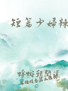 短篇少妇辣文
