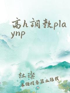 高h调教playnp 高h调教playnp