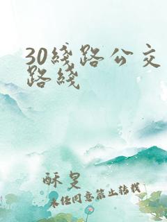 30线路公交车路线