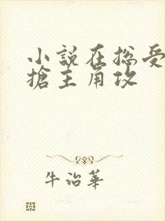 小说在总受文里抢主角攻