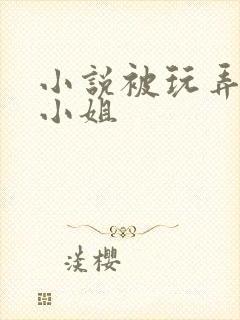 小说被玩弄的大小姐