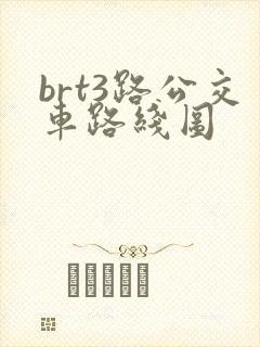 brt3路公交车路线图