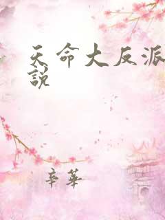 天命大反派 小说