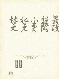林北小说最新全文免费阅读
