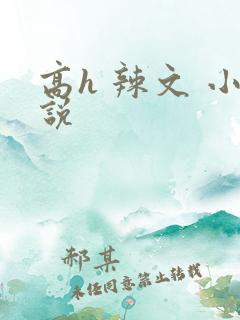 高h 辣文 小说