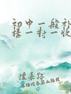 初中一般补习机构一对一收费