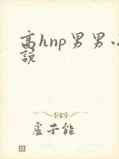 高hnp男男小说