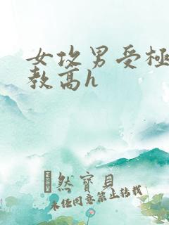 女攻男受极限调教高h