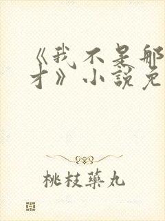 《我不是那种人才》小说免费阅读