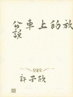 公车上的放荡小说