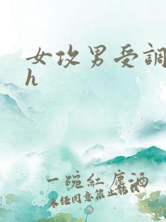 女攻男受调教乳h