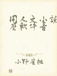 同人文小说用什么软件看