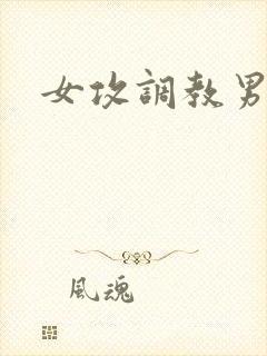 女攻调教男受