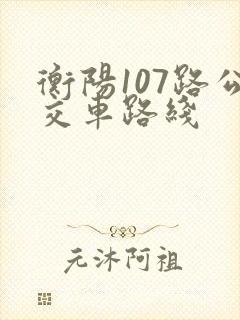 衡阳107路公交车路线 衡阳107路公交车路线