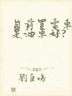 目前买电车好还是油车好?