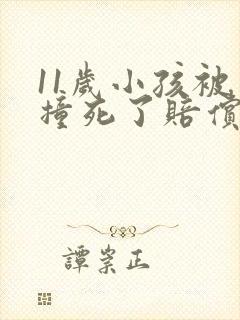 11岁小孩被车撞死了赔偿标准是多少?