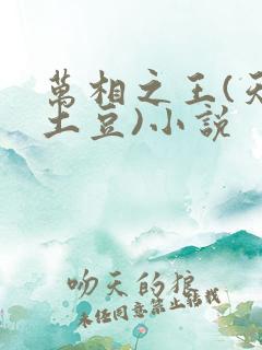 万相之王(天蚕土豆)小说