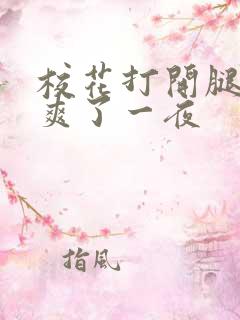 校花打开腿让我爽了一夜