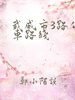 武威市3路公交车路线
