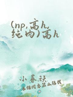 (np,高h,纯肉)高h