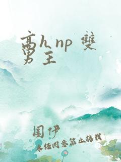 高h np 双男主