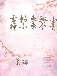 电动车与小车相撞小车全责怎么赔偿 电动车与小车相撞小车全责怎么赔偿