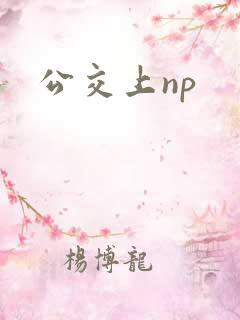 公交上np