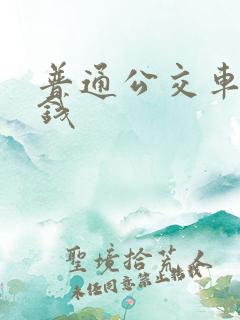 普通公交车多少钱