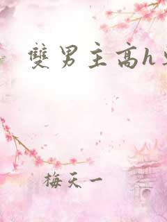 双男主高h车文