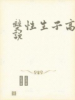 双性生子高h小说