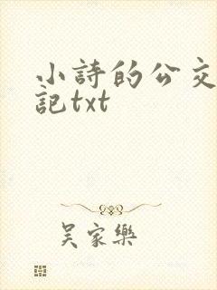 小诗的公交车日记txt