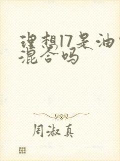 理想l7是油电混合吗
