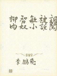 柳智敏被调教成肉奴小说阅读