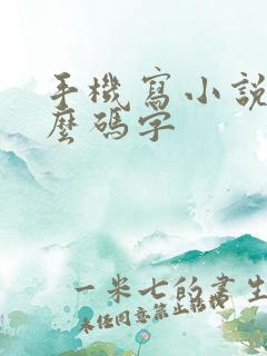 手机写小说用什么码字