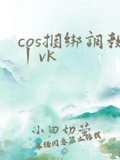cos捆绑调教丨vk