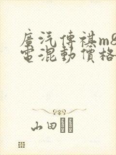广汽传祺m8油电混动价格