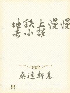 地铁上慢慢滑进去小说